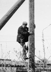 Осень