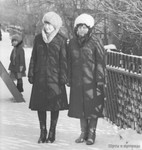 Май 1981 г.
