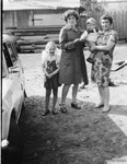 Лето. Улица Комсомольская д. :6