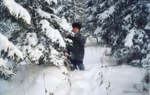 В лес, за ёлочкой.